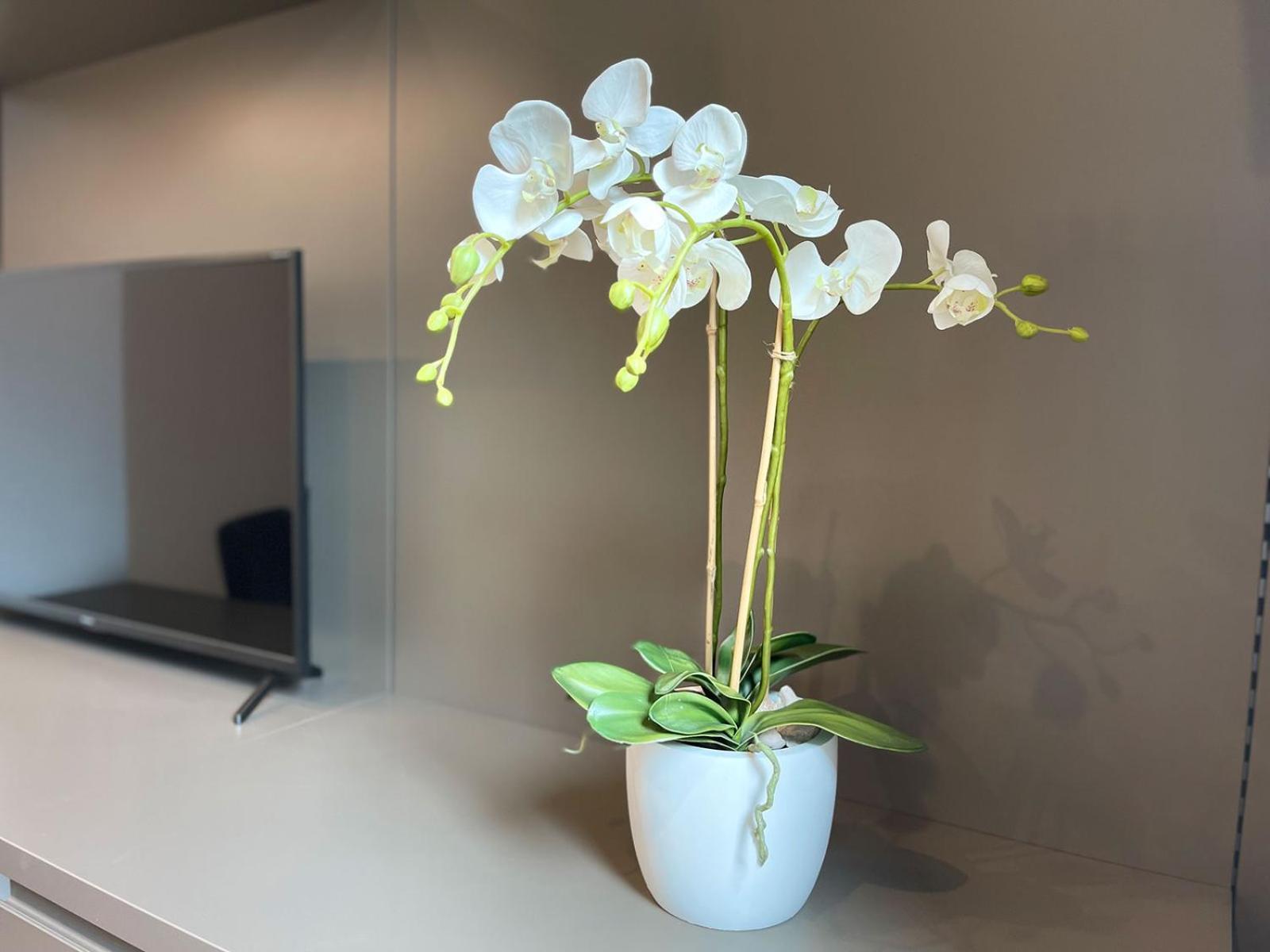 Clavis Luxury Apartments К'явенна Екстер'єр фото